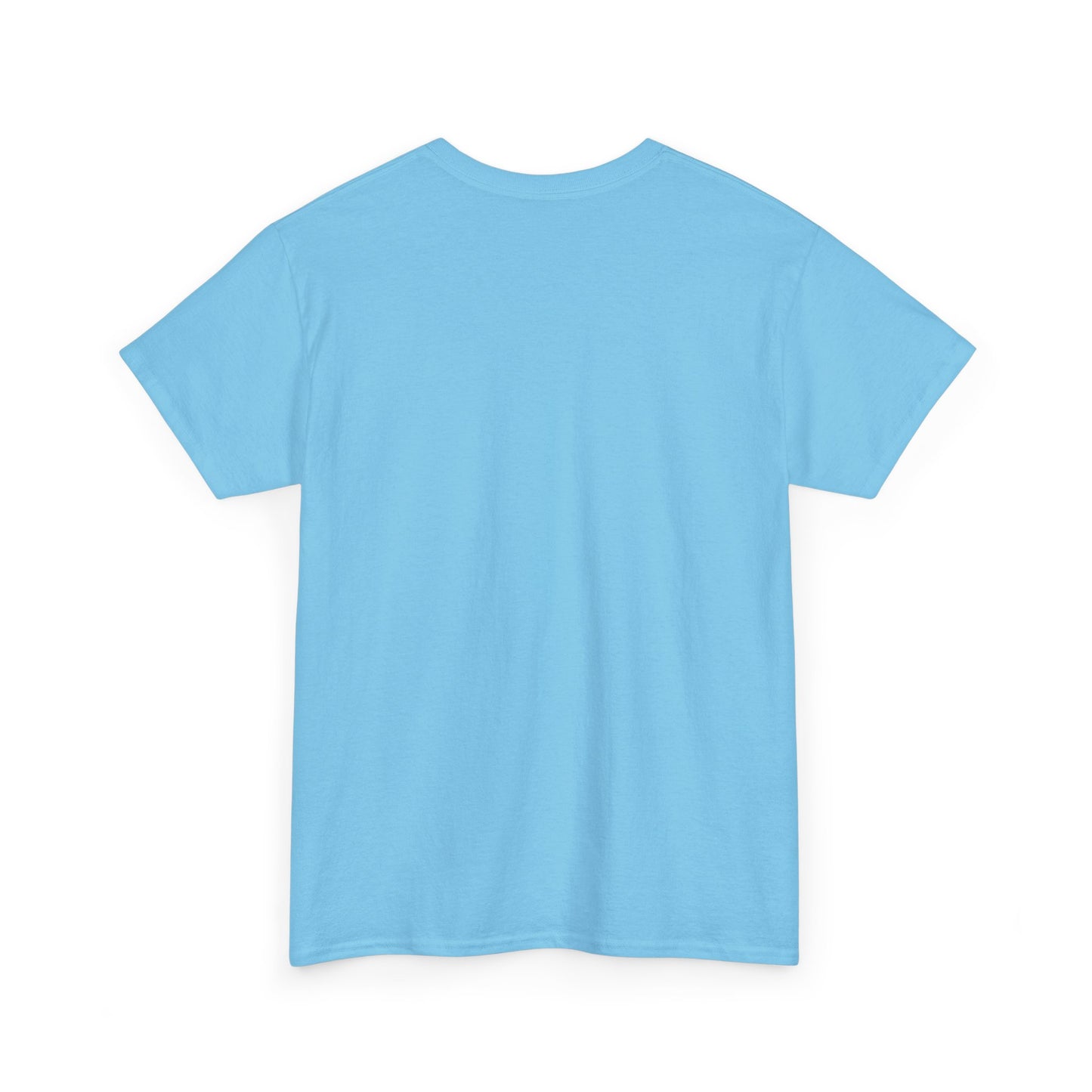 Unisex Heavy Cotton Tee – Seabrook Adventure Design