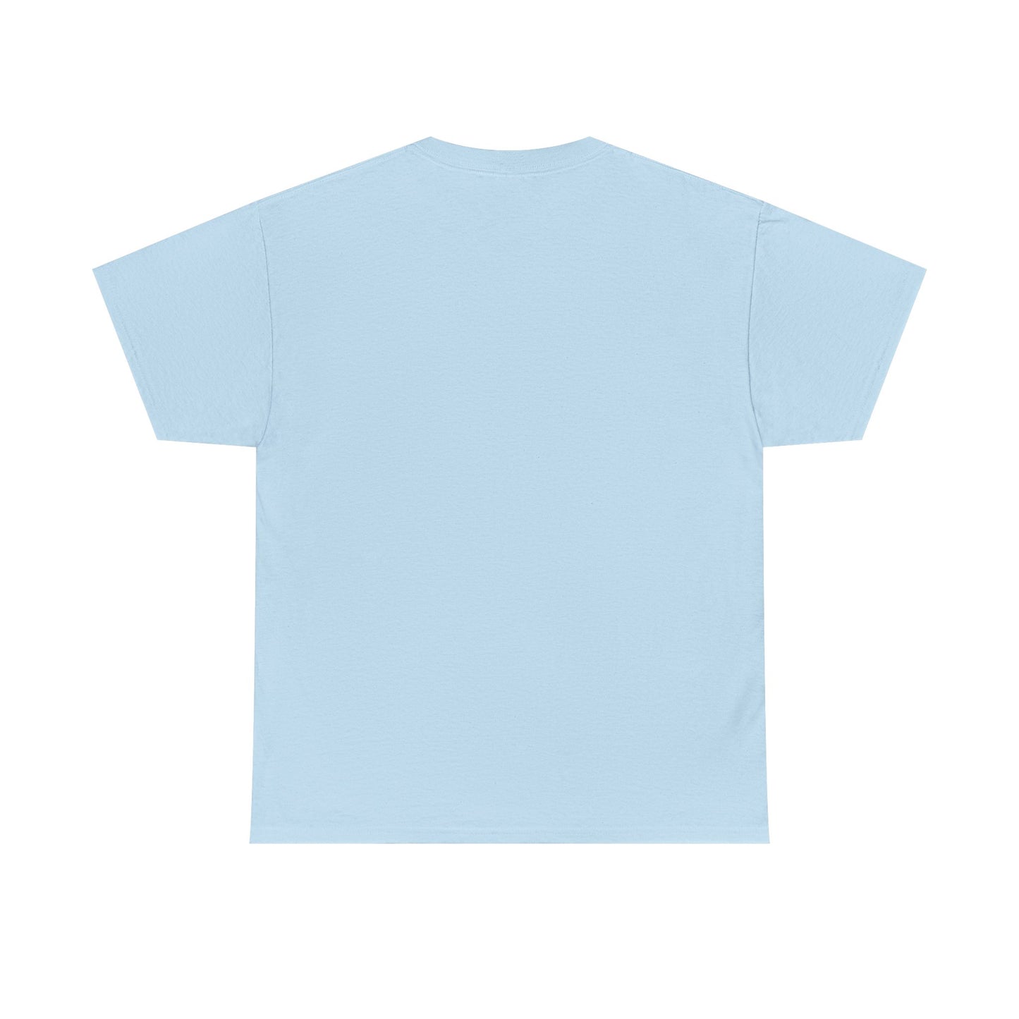 Unisex Heavy Cotton Tee – Seabrook Adventure Design