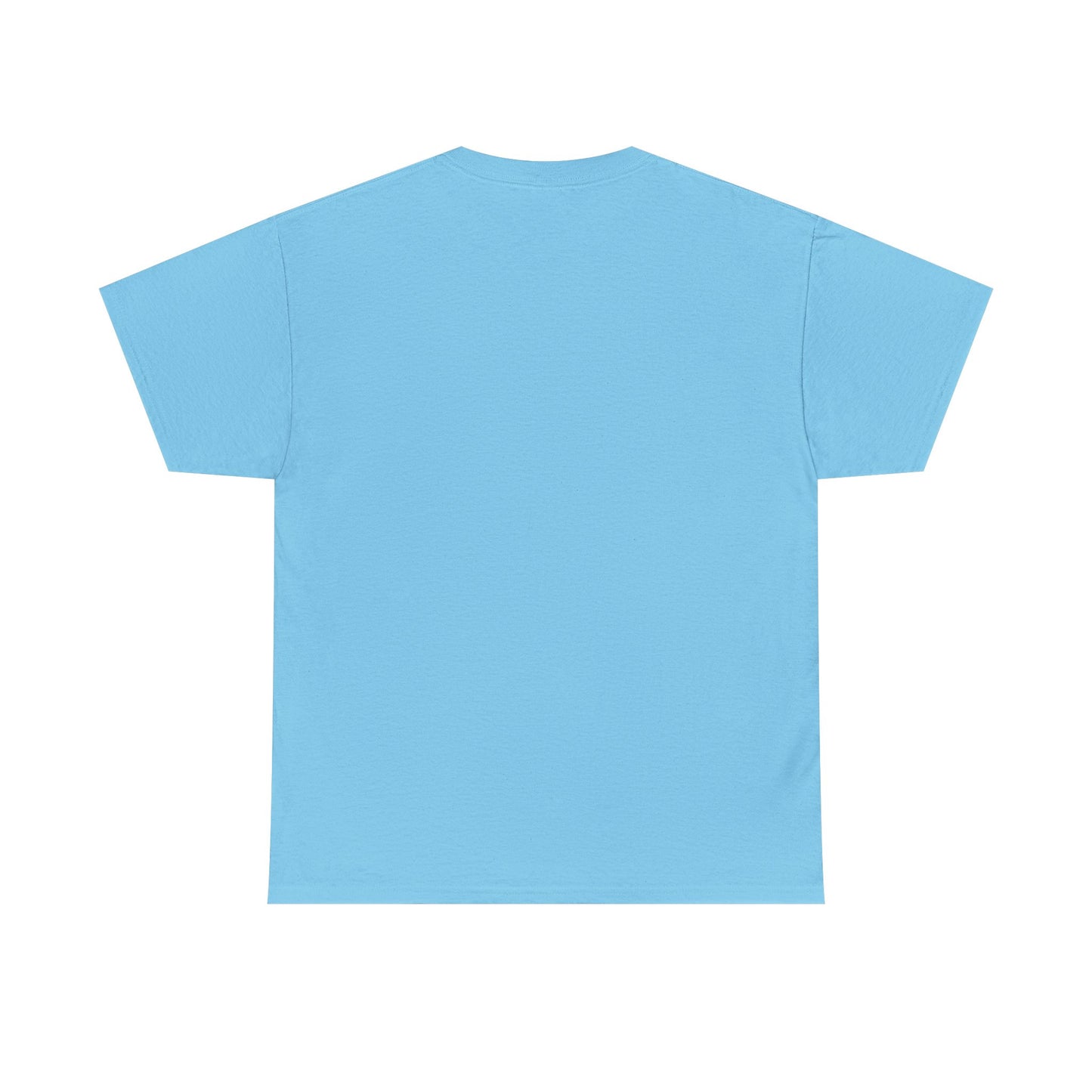 Unisex Heavy Cotton Tee – Seabrook Adventure Design